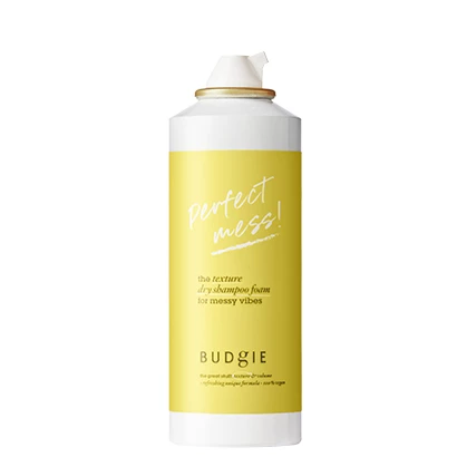 The Texture Dry Shampoo Foam 200 ml